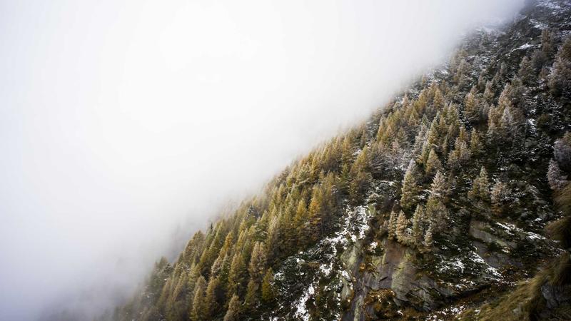 Thông báo tổ chức khám sức khỏe định kỳ cho cán bộ, chiến sĩ