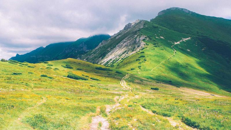 Thông báo về việc thực hiện chính sách ưu tiên tuyển dụng công chức, viên chức