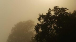 Tăng cường năng lực phòng thủ biên giới trong tình hình mới