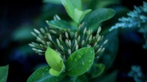 Tăng cường công tác phối hợp tuần tra bảo vệ biên giới