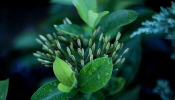 Tăng cường công tác phối hợp tuần tra bảo vệ biên giới