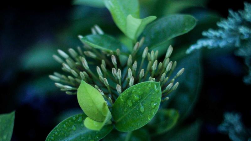 Tăng cường công tác phối hợp tuần tra bảo vệ biên giới