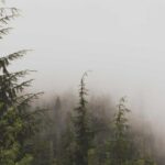 Thông báo về việc cấp thẻ ra vào khu quân sự cho người dân