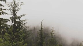 Thông báo về việc cấp thẻ ra vào khu quân sự cho người dân