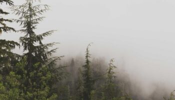 Thông báo về việc cấp thẻ ra vào khu quân sự cho người dân