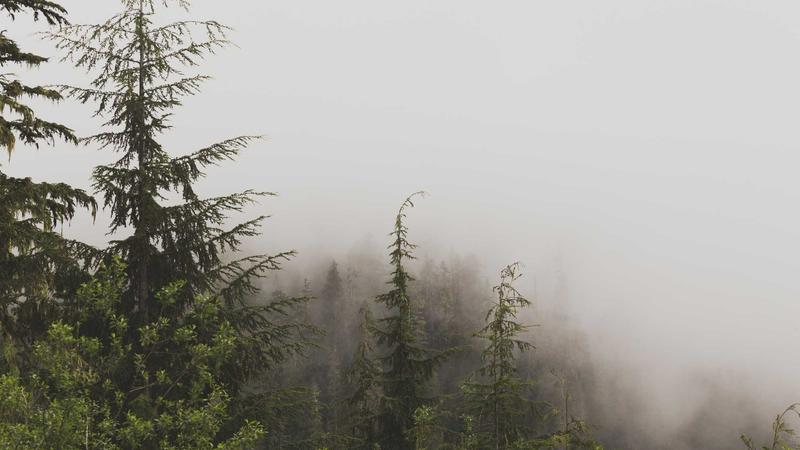 Thông báo về việc cấp thẻ ra vào khu quân sự cho người dân