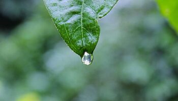 Thông tư hướng dẫn công tác tuyển quân và gọi công dân nhập ngũ