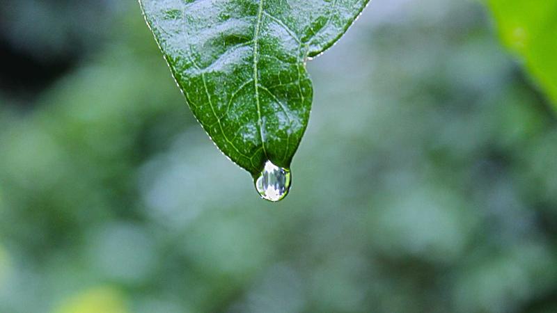 Thông tư hướng dẫn công tác tuyển quân và gọi công dân nhập ngũ