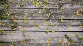 Bảo dưỡng, sửa chữa vũ khí trang bị kỹ thuật phục vụ huấn luyện