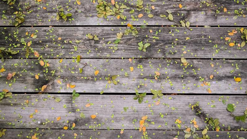 Bảo dưỡng, sửa chữa vũ khí trang bị kỹ thuật phục vụ huấn luyện