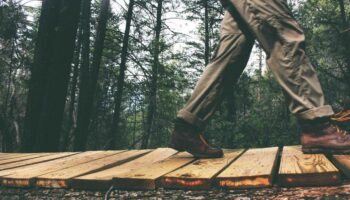 Tập huấn nghiệp vụ kỹ thuật cho cán bộ hậu cần, kỹ thuật